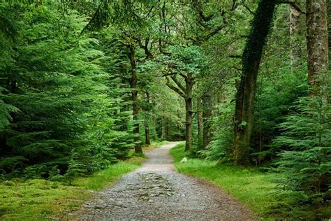 Torc Mountain Walk - Ireland Highlights