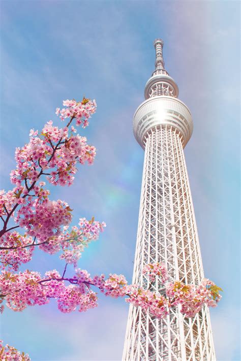 Photo I took of Tokyo Skytree in March : r/japanpics