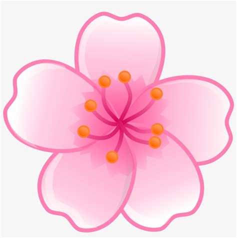 Sakura Flower Clipart - Cherry Blossom Flower Clipart PNG Image ...