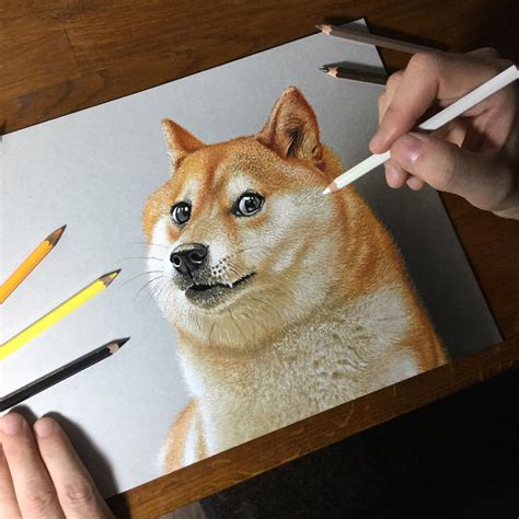 My doge in my art : r/doge