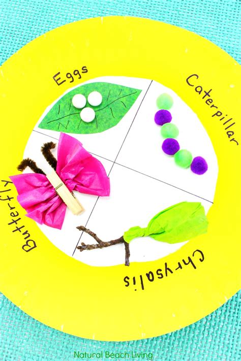 Easy Butterfly Life Cycle Craft Kids Love - Paper Plate Craft - Natural ...