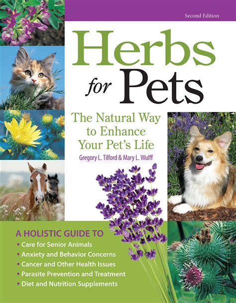 15 Pet Care Books to Add to Your Bookshelf in 2021