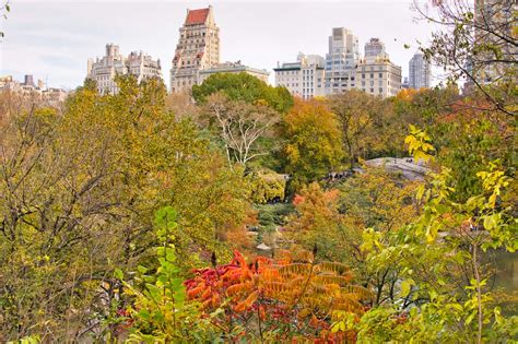 The Top 25 Things To Do in Central Park NYC | Map, Photos & More - EU ...