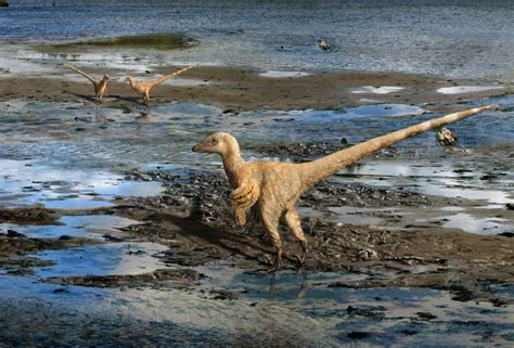 Raptorial Dinosaurs Did Not Hunt in Coordinated Packs, Paleontologists Say | Paleontology | Sci ...