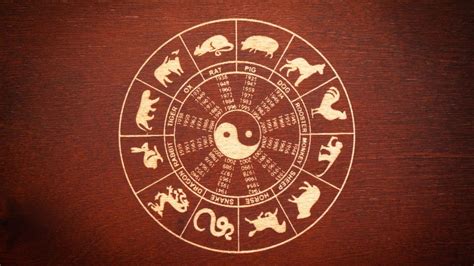 Year of the Rabbit: Chinese zodiac sign predictions for 2023