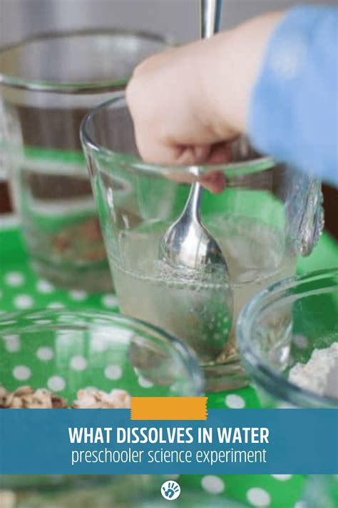 Learn What Dissolves in Water with a Preschool Science Experiment