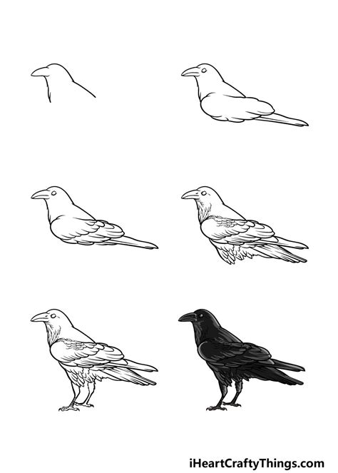 Details 80+ crow sketch images latest - in.eteachers