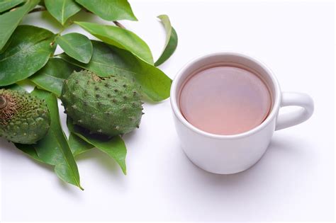 Health-Benefits-of-Guyabano-Leaves-Tea | 1mhealthtips.com