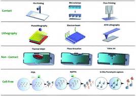 A critical comparison of protein microarray fabrication technologies ...