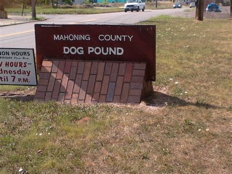 Get to know Mahoning County Dog Pound & Adoption Center | Dog pounds ...