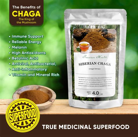 Buy Organic Chaga Extract Mushroom Powder - Innaturehealth.com – Innature Health