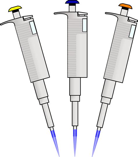 Micropipetas Pipetas Consejos · Gráficos vectoriales gratis en Pixabay