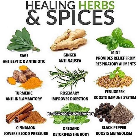 Instagram | Healing herbs, Herbs, Herbs & spices