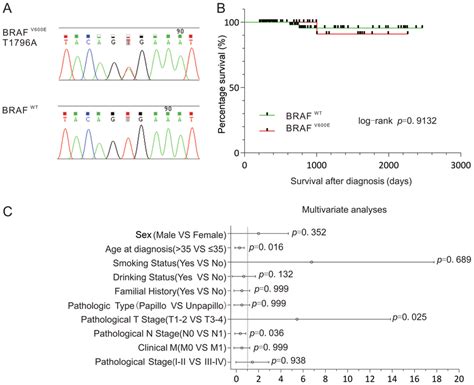 BRAF V600E mutation and its association with clinical parameters in... | Download Scientific Diagram