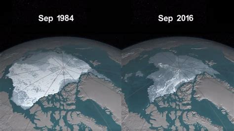 NASA images reveal how Arctic sea ice has disappeared over three decades