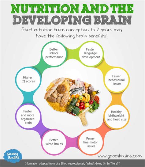 Nutrition and the Developing Brain - Gooeybrains