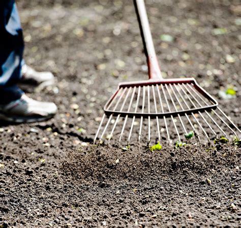 How to plant grass seed: the best ways to sow and grow a lawn, fast | GardeningEtc