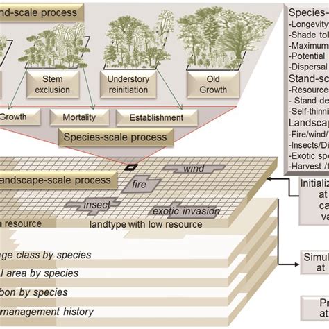 The conceptual design of LANDIS PRO. | Download Scientific Diagram