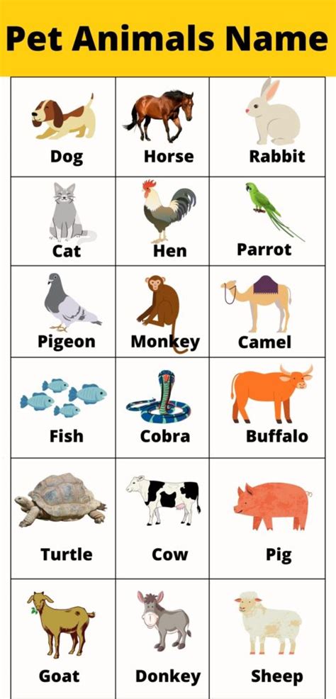 Pet Animals Name English & Hindi With Images - Animals Name