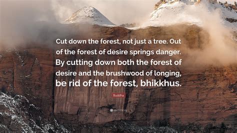 Buddha Quote: “Cut down the forest, not just a tree. Out of the forest ...