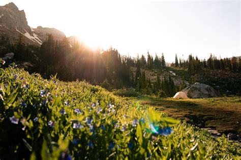 Grand Teton National Park: Everything You Need to Know About Camping ...