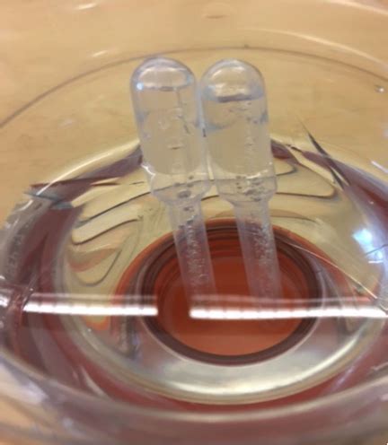 Build Your Own Hoffman Apparatus | Chemical Education Xchange