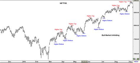 Identifying Bull Markets: Charts & Signals | Samco