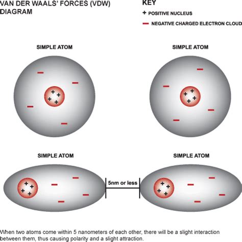 Direct measurement of Van der Waals force made for the first time