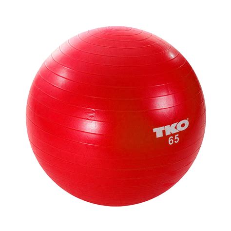 Fitness Ball 65 cm. – TKO Strength & Performance