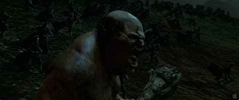 Unidentified Giant in the Battle of Hogwarts (II) - Harry Potter Wiki