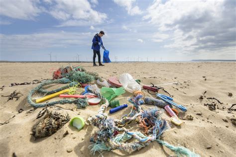 People Are Picking Up Trash in Parks and Beaches for the 'Trashtag Challenge' : UpliftingNews