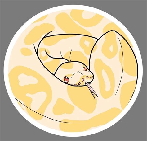 Albino Ball Python Sticker! 🧡 3x3’’ : ballpython | Cute little drawings ...