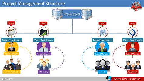 What is Project Management Structure & Organizational Types