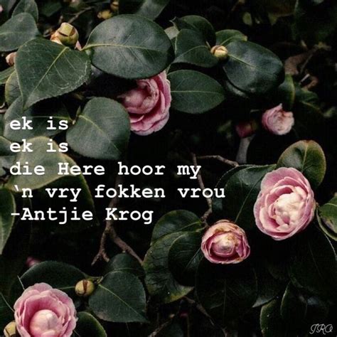 Antjie Krog Afrikaans Poem | Afrikaans quotes, Afrikaans, Afrikaanse quotes