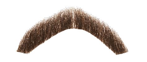 moustache png transparent 10 free Cliparts | Download images on ...