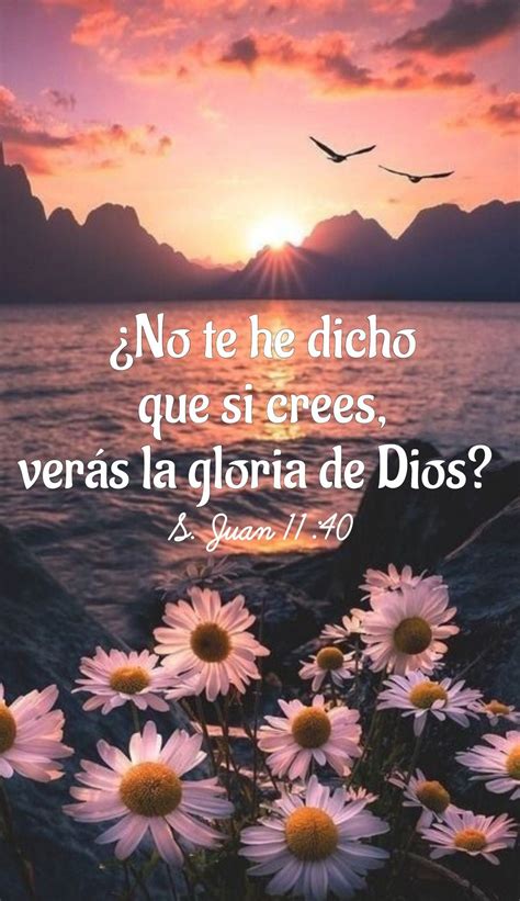 No te he dicho, que si crees verás la Gloria de Dios? Juan 11:40 | Juan 11 40, Mensajes bonitos ...