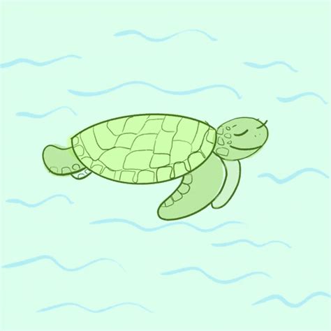 Sea Turtle Swimming GIF - Find & Share on GIPHY