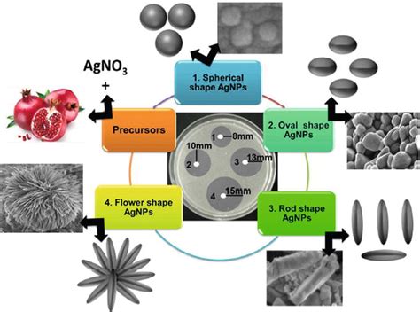 Synthesis of Silver Nanoparticles | IntechOpen