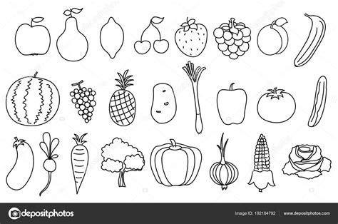 Set Simple Drawing Fruits Vegetable Outline Healthy Food Illustration ⬇ Vector Image by ...