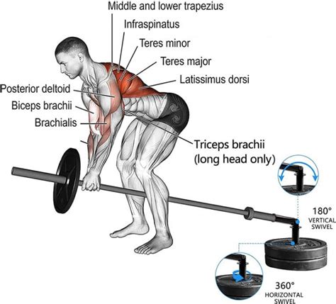 The 19 Best Landmine Exercises for Building Muscle Mass and Strength – Fitness Volt