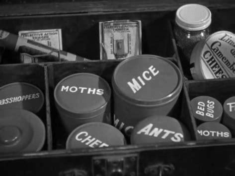 Ants In The Pantry (1936) Review // The Three Stooges #16 – “You Funny Men” | The Filme Diary