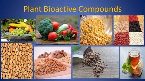 Role of Plant-Based Superfoods in Reducing Inflammation ...