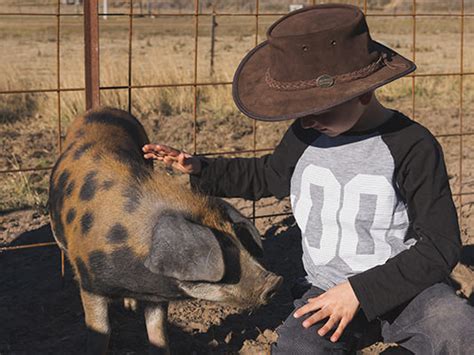 Happy Pig Farm Stay - Southern Downs & Granite Belt