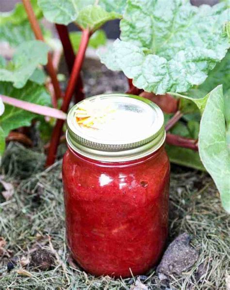 Simple Rhubarb Jam - Homemade Rhubarb Jam | The Food Blog