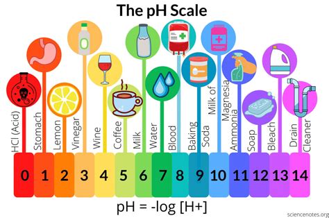 Acidity In Coffee - The What And The Why? - Coffee Samurai. Your Go-To ...