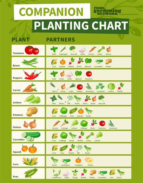 Companion Planting Chart Printable