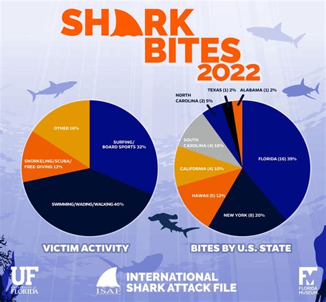 Shark bites tied for 10-year low in 2022 but spiked in regional ...