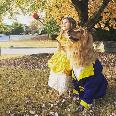 25 Matching Halloween Costumes You Have To Try With Your Significant Quadruped-O… | Matching ...