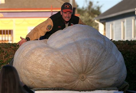 What Does a 2,058-Pound Pumpkin Look Like? Here... | KQED