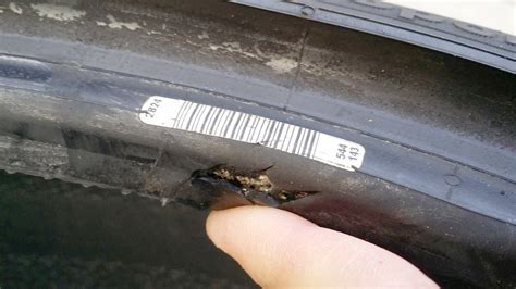 Can I safely use this tire again? (bead trauma) - F150online Forums